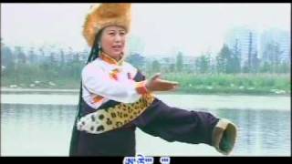 tibetan song by tashi dolma