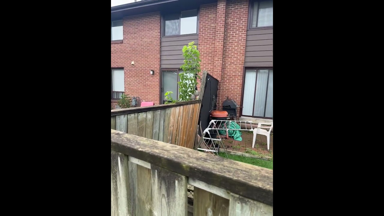 External video