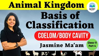 Basis of Classification : Coelom/ Body Cavity | Class 11 | Part 4 | Animal Kingdom | Jasmine Mam
