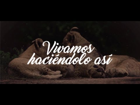 RYOKER B - HACIÉNDOLO ASÍ [Letra Oficial]