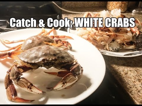 download lagu mp3 mp4 White Crab, download lagu White Crab gratis, unduh video klip White Crab