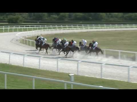 2017.07.23. 4. futam - PESTI NAPLÓ DÍJA (V.kat.) (szintetikus pálya)