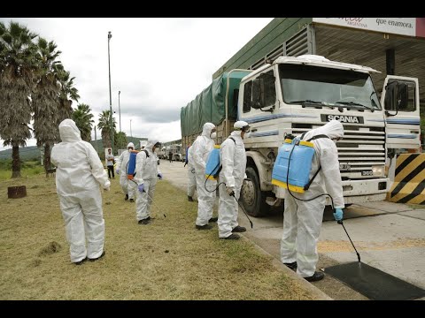Por la emergencia sanitaria se fumigan colectivos y camiones en el ingreso a Salta