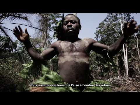 , title : 'Pygmées Baka, les gardiens de la forêt'