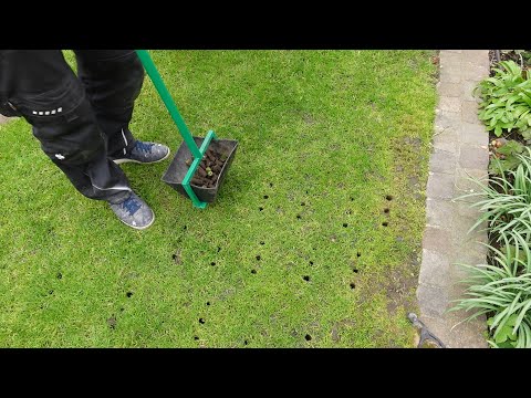 Rasenpflege im Frühjahr | mit Ergebnis