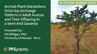 Animal-Plant Interactions Drive Gas Exchange Patterns in Acacias & Offspring in Semi-Arid Savanna