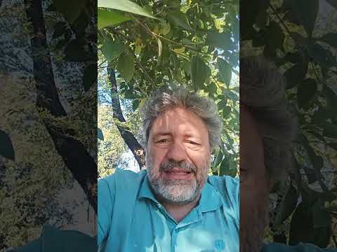 I Maneskin secondo Chatgpt