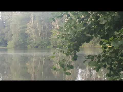 Bierbaum Hölscher See (Waldsee) - Ladbergen