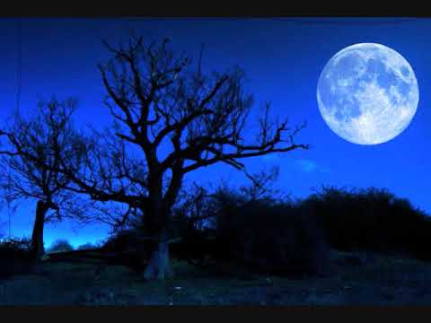 I'm Doin' What I'm Doin'For Love Hermin Kenin Orchestra