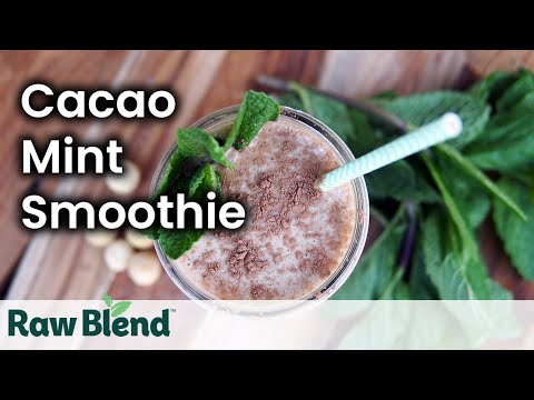How to make a Cacao Mint Smoothie in a Vitamix Blender | Recipe Video