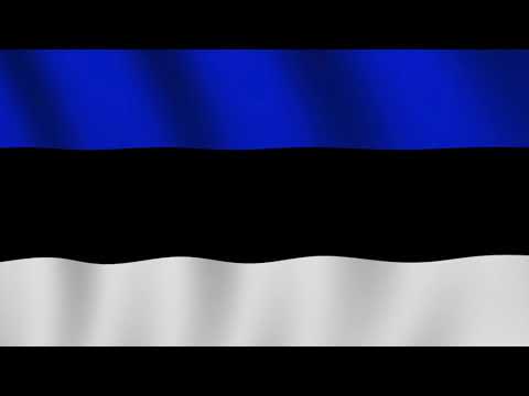 Eesti Laul 2019: Johanna Eendra - Miks sa teed nii? [Male version]