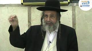 הרב מאיר שלמה | פרשת בהעלותך | סוד הגלגול והבלבול (הרב מאיר שלמה זצ"ל) - התמונה מוצגת ישירות מתוך אתר האינטרנט יוטיוב. זכויות היוצרים בתמונה שייכות ליוצרה. קישור קרדיט למקור התוכן נמצא בתוך דף הסרטון