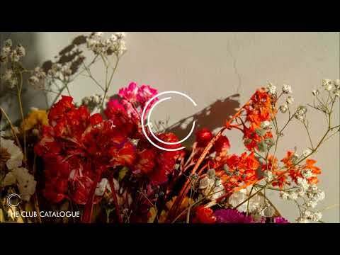 Frank Sonic & Fehrmon - Still Alive (Original Mix) [Clubshine Records]