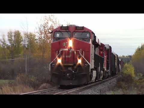 Short and Fast! Three Units Lead CN 407 at Thomson Station, NS at Track Speed