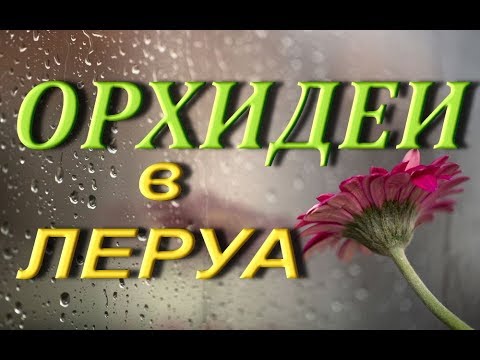 ЛЕРУА:ОРХИДЕИ,28.04.2019.ТЦ "Космопорт",г.Самара.