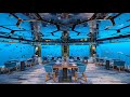 Underwater restaurant in the Maldives | Surreal fine dining experience