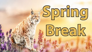 The PHSC Bobcat's Share Plans for Spring Break