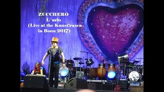 ZUCCHERO - L`urlo (Live in Bonn 2017, HD)