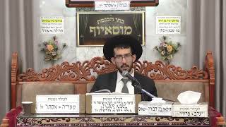 הרב נדב שריפי | מעניין הפרשה - וְיִקְחוּ־לִ֖י תְּרוּמָ֑ה | מוסאיוף (בית הכנסת מוסאיוף - ערוץ חדש) - התמונה מוצגת ישירות מתוך אתר האינטרנט יוטיוב. זכויות היוצרים בתמונה שייכות ליוצרה. קישור קרדיט למקור התוכן נמצא בתוך דף הסרטון