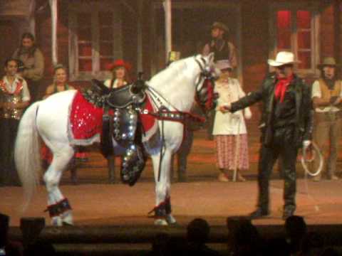 Cavalo Faisca no Beto Carrero Memory Show - 04/07/2009
