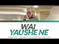 Ali Jita - Wai Yaushe Ne Lyrics (Lyrics By Hd)