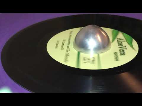 PIETRA MONTECORVINO and THE OFFICINALIS ~ Si Comme Si