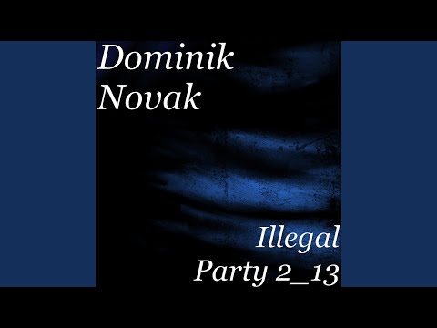 Illegal Party 2_13
