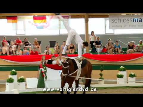 Sebastien Martin (SVK) - FEI Junior WC Ebreichsdorf 2017 - Male 14