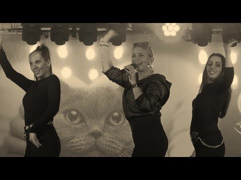 Bestiák RETRO Őrület feat. Miss Bee - A reggel túl messze van (Somlóvásárhely 2022-10-16)