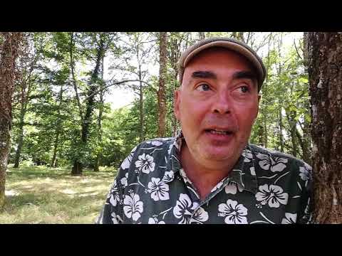 41ème Hestejada de las arts   Christophe Monniot