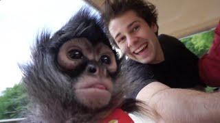 MEETING A MONKEY!! | David Dobrik