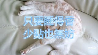 只要睡得香  少點也無妨  The Lie of Eight Hours of Sleep