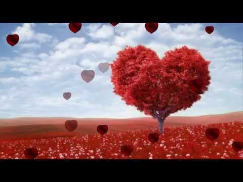 MAMA,ALLES GUTE ZUM GEBURTSTAG!-ICH LIEBE DICH! ♥