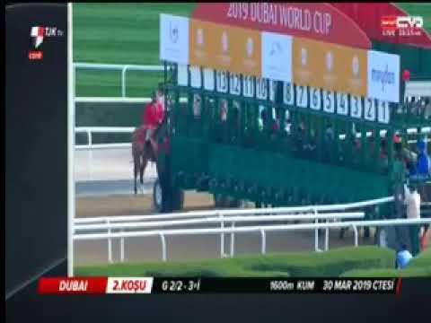 Good Curry Dubai 3. Koşusu (G2 Godolphin Mile) 30.03.2019