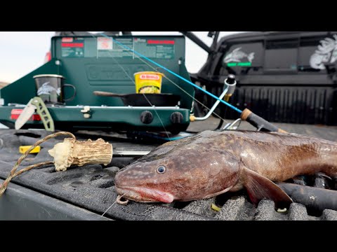 Catching Burbot / Eating Noodles Late Ice