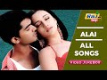 Alai Movie 4K Full Video Songs Silambarasan Trisha Vivek Raj 4k Songs
