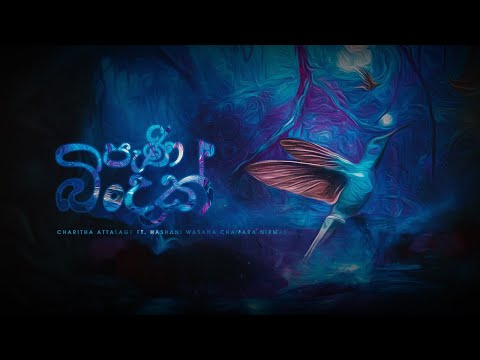 Pani Bindak (පැණි බිංදක්) - Charitha Attalage ft. Hashani Wasana | Chamara Nirmal