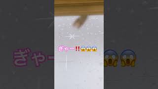 絶対ここでちなないで‼️😱😱😱😱