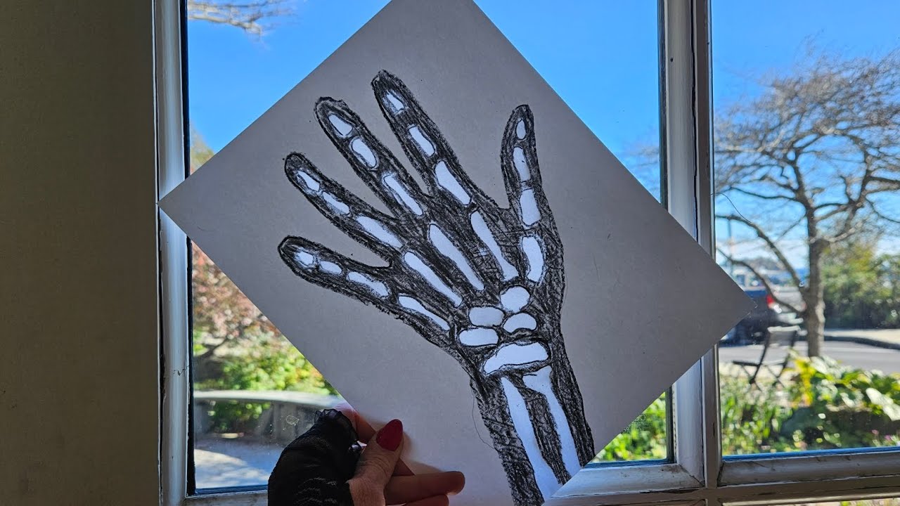 X-RAY skeleton hand STEM activity.