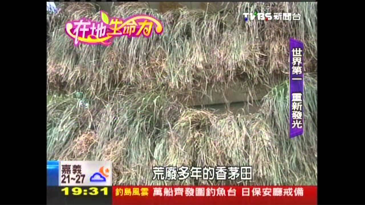 【在地生命力】創意發光!香茅&布染 特色產業
