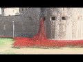 World War I: Poppies pour like blood out from the ...