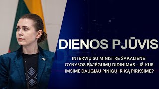 Interviu su Šakaliene: gynybos pajėgumų didinimas – iš kur imsime daugiau pinigų? | DIENOS PJŪVIS