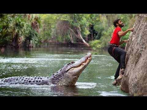 Crocodile Attack Man in Water | Crocodile attack Man | crocodile attack stories