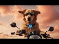 Barkston The Bone Identity Full Mission