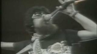 Blue Suede Shoes - Raul Seixas