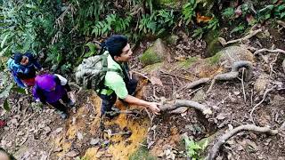 preview picture of video 'Gunung Berembun, Cameron Highland'