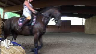 we're on fire tonight