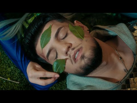 Babasha - S-a oprit toata planeta