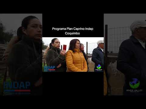 Claudio Castro usuario Plan Caprino Ovalle