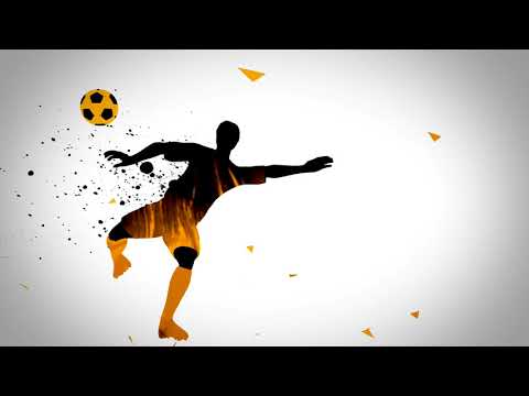 QFI Sports Management